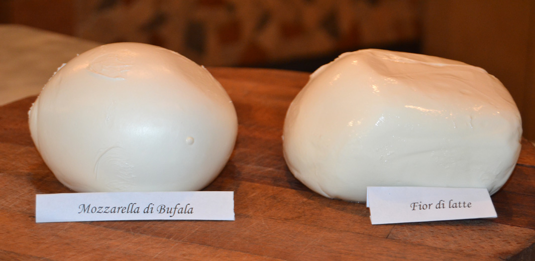 mozzarella-vs-fiordilatte